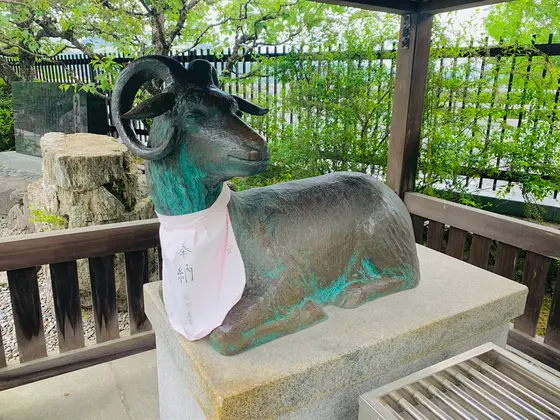 羊