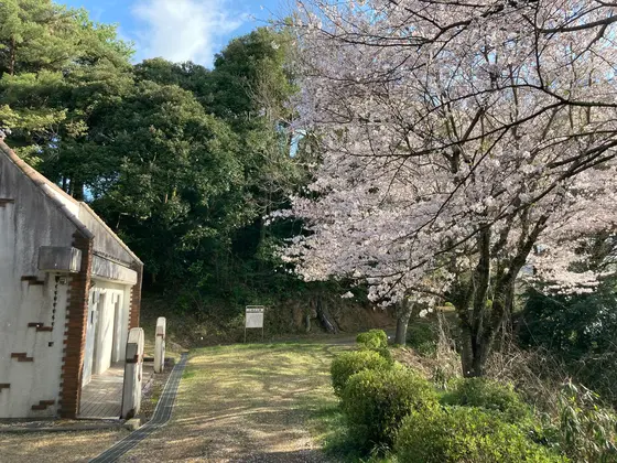 着きました！