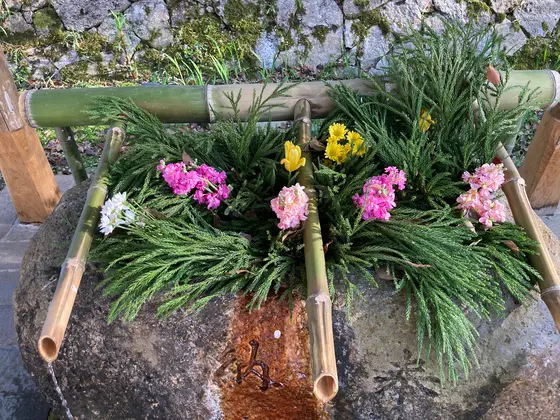 手水舎にもお花が