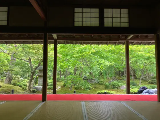 方丈から眺める池泉回遊式庭園「十牛之庭」