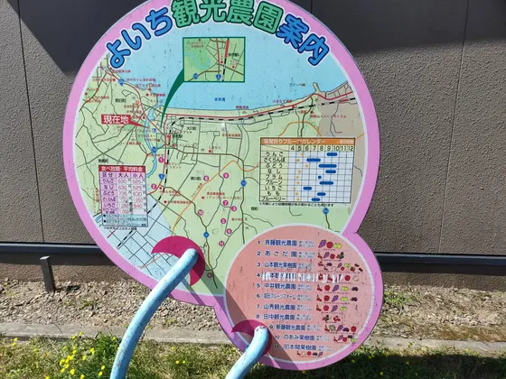 観光農園もたくさん