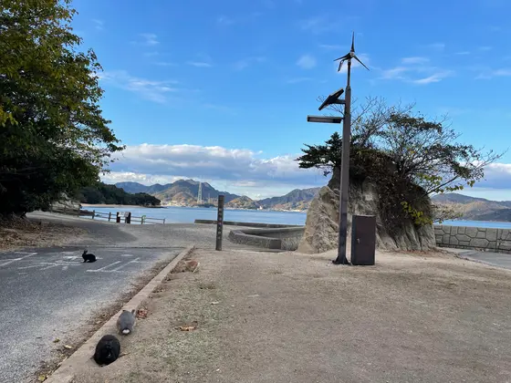 島を反時計回りに散策してみます