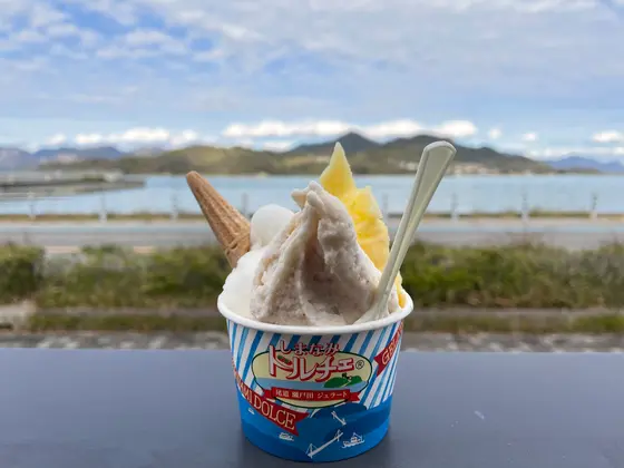 地元で採れた新鮮な素材を使った手作りジェラート