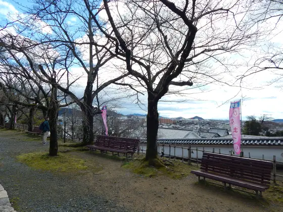 たつのの街が一望できます