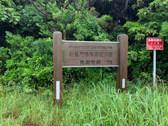 鳥類保護区にもなっています