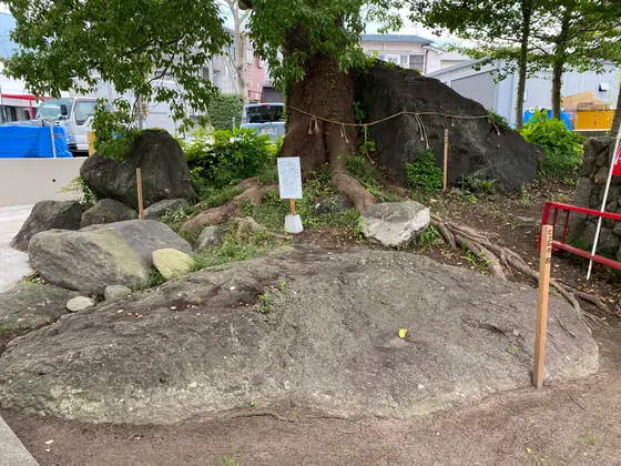 ここにたくさんあります。