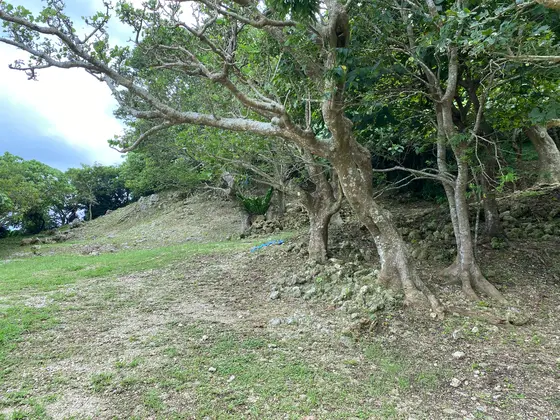 手前に車停めれます