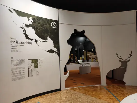 北海道の生き物