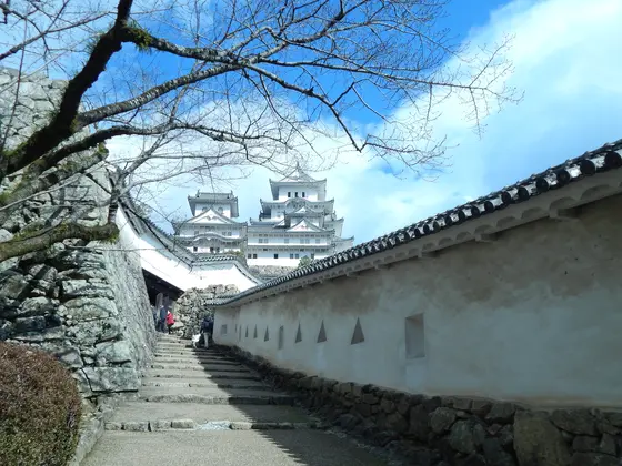 はの門南方土塀越しに見る天守