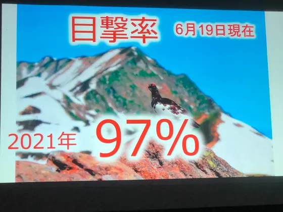 目撃率は