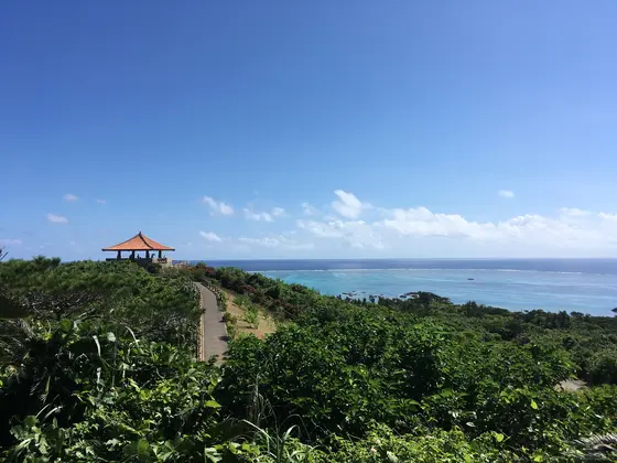 このアングルも最高