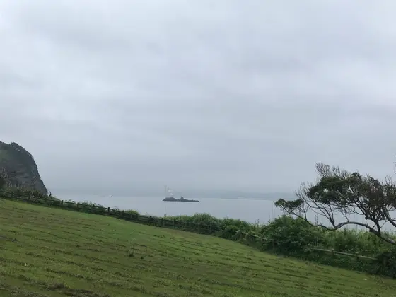 散策路から撮影