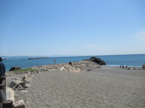 桂浜