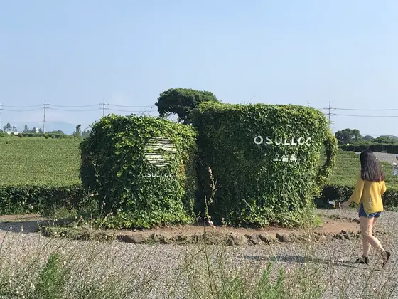 スポット内のおすすめ