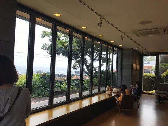 お店の見所みたいな窓