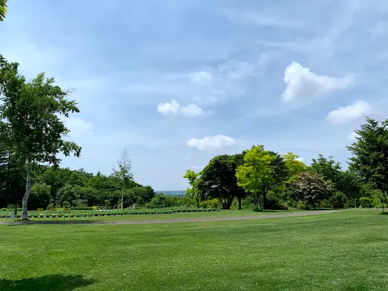 のどかで広い園内🍃