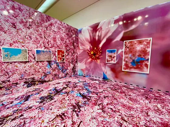 蜷川実花展