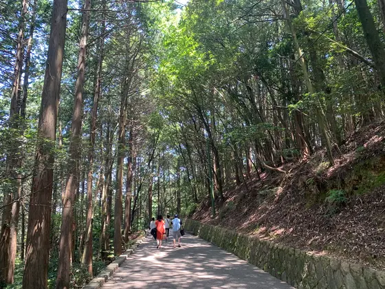 行きは広めの道