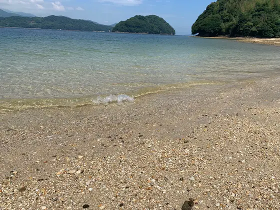 透明度が高い✨