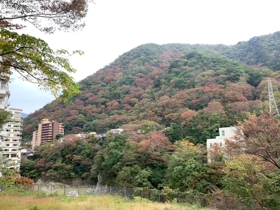 道すがらの風景