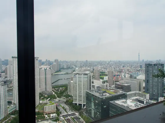テラス席からの眺め
