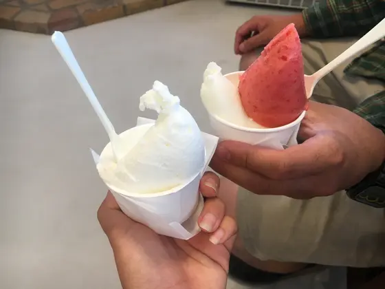 さっぱり系のジェラートがお好きな方は、亘理産のイチゴを使ったストロベリージェラートがおすすめ🍓