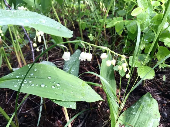 季節によって景色が違う