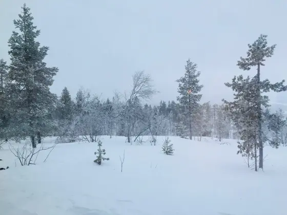 場所によって変わる景観