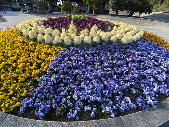花壇