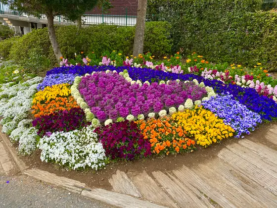 道の駅周辺の花壇