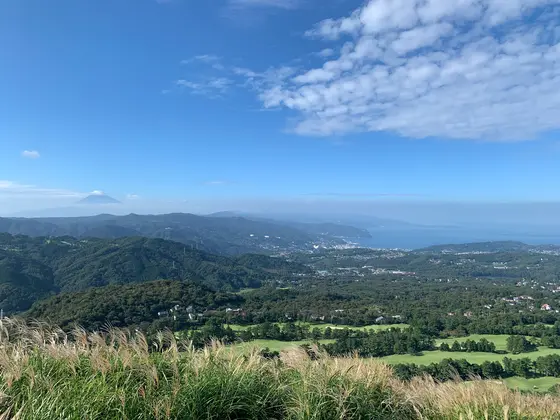 天気が良ければ