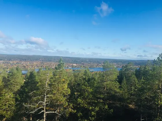 屋上からの景色が最高
