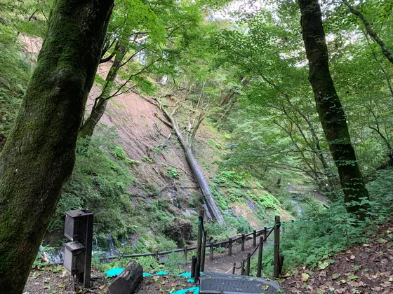 土砂崩れのあと