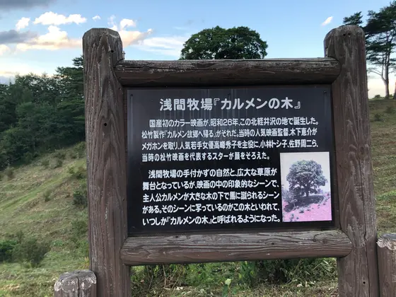 スポット内のおすすめ