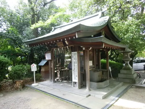 疣を取るのに神験あり