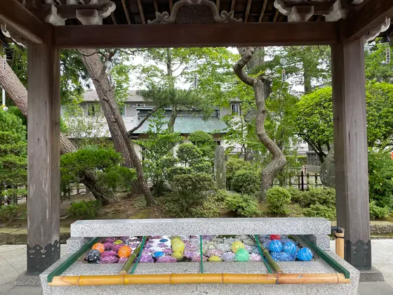 季節を感じさせる手水舎