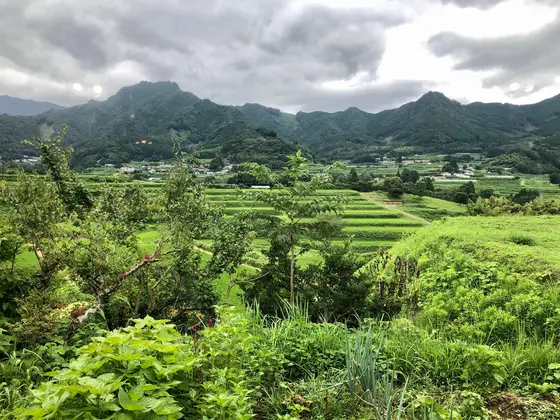 窓からの風景