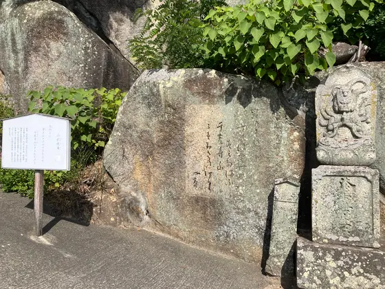 スポット内のおすすめ