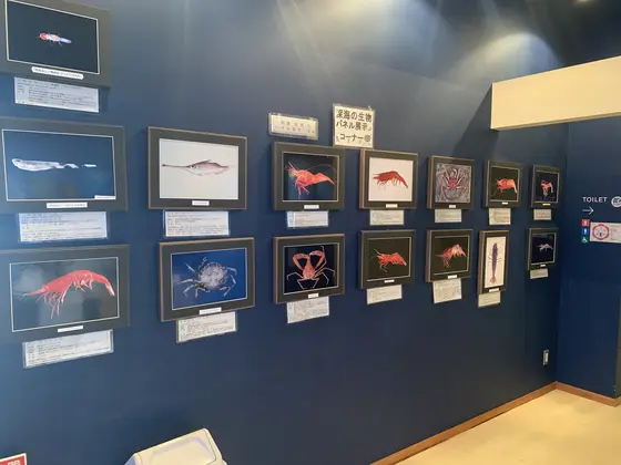 パネル展示コーナー