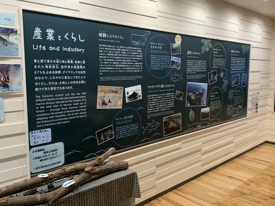 展示