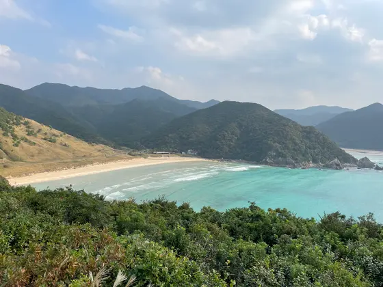 高台から望むパノラマ