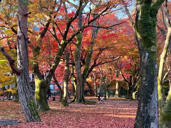 スポット内のおすすめ
