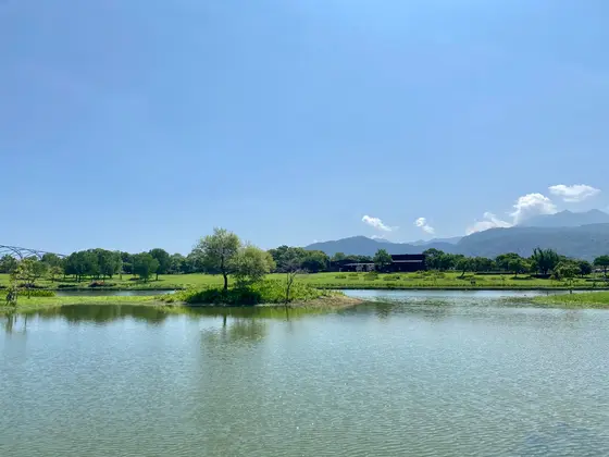 展望台からの景色