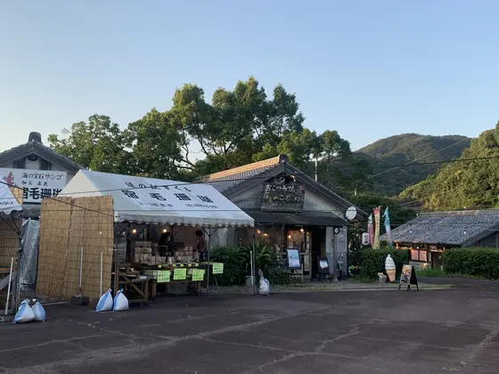 サンゴ店