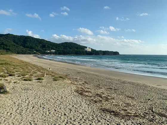 海