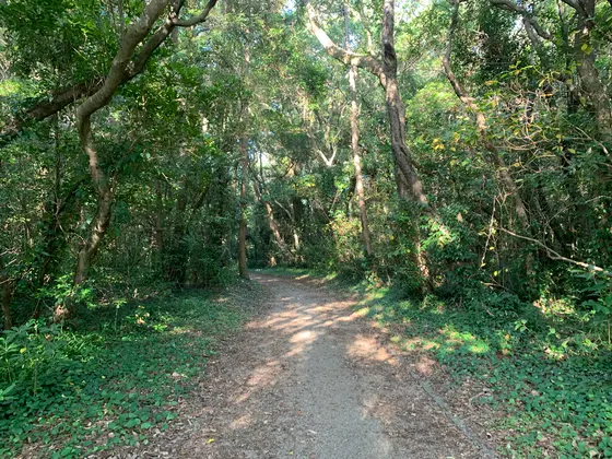 遊歩道
