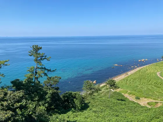 ここの海も綺麗ですわ