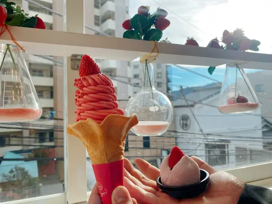 スポット内のおすすめ
