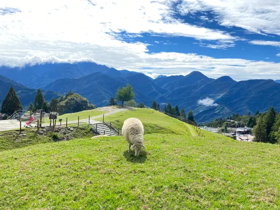 清境農場・青青草原