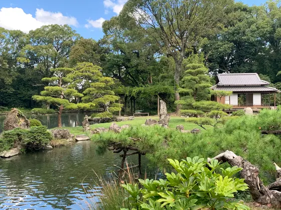 庭園内